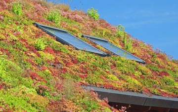 Copdock living roof systems